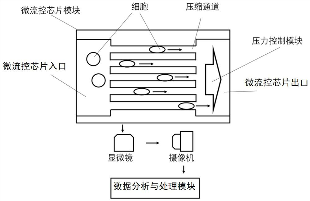 High-throughput measurement device and method for single cell membrane tension