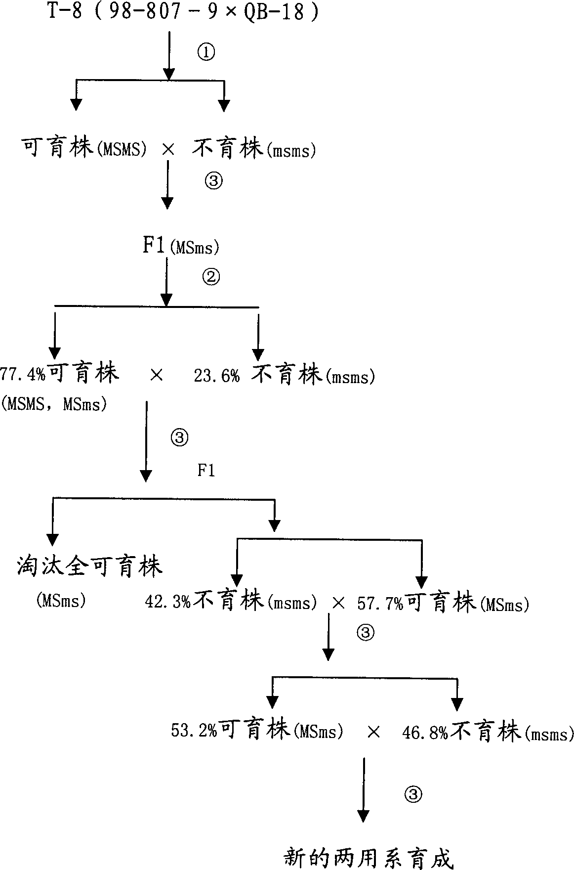 Breeding method for chilli pepper nuclear male sterile dual purpose line and nuclear substance male sterile recovery line