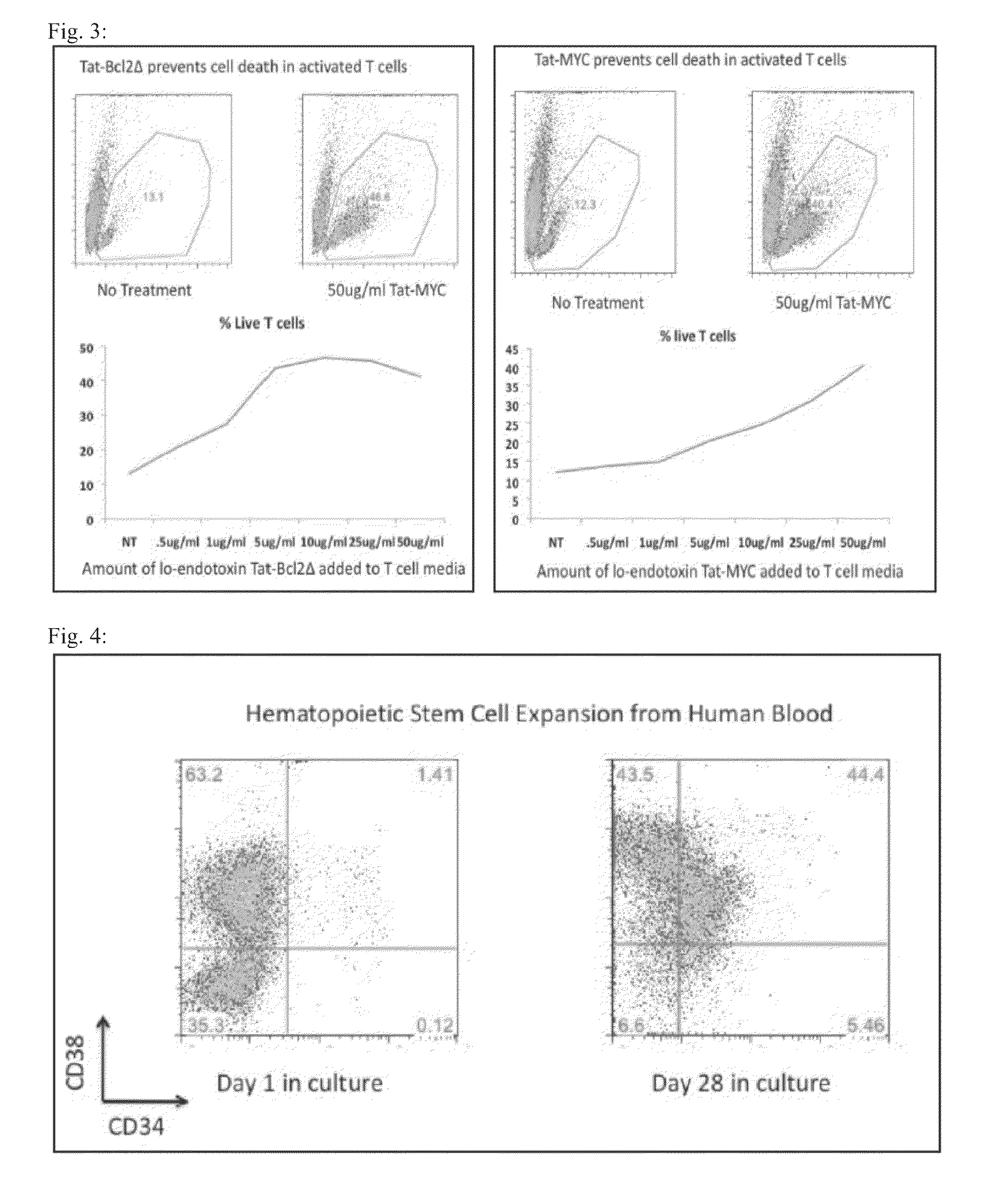 Methods of generating xenochimaeric mice with tumor and hematopoietic system from the same heterologous species