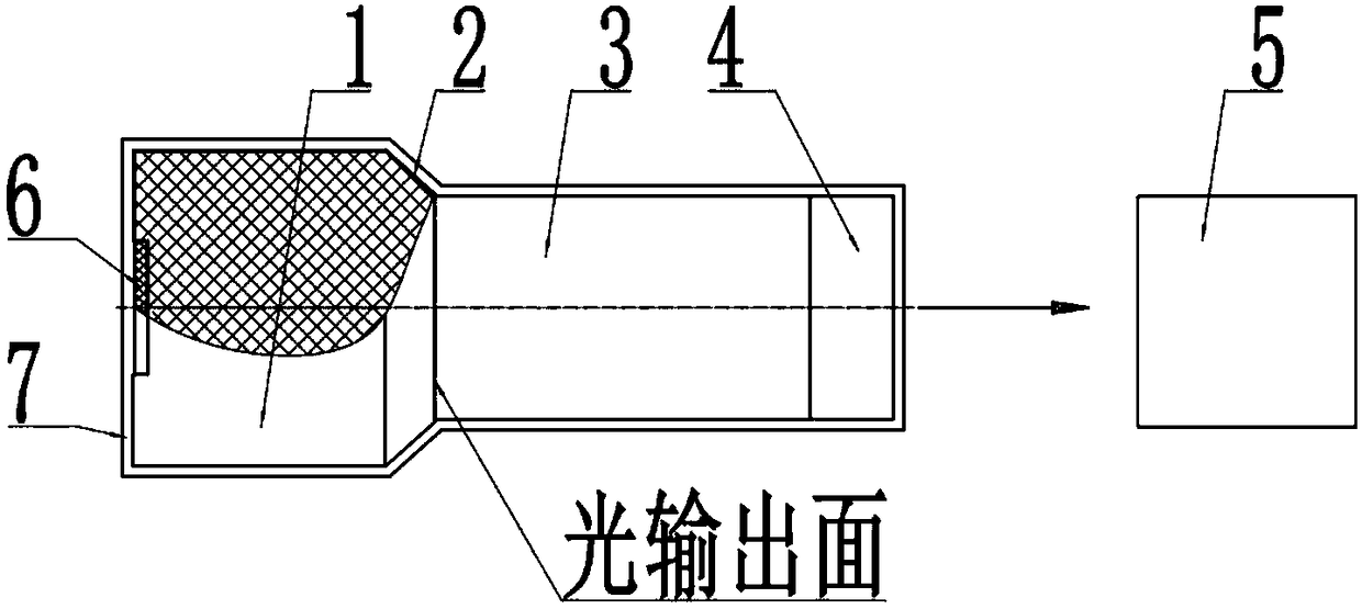 X-[gamma] dosage detection device