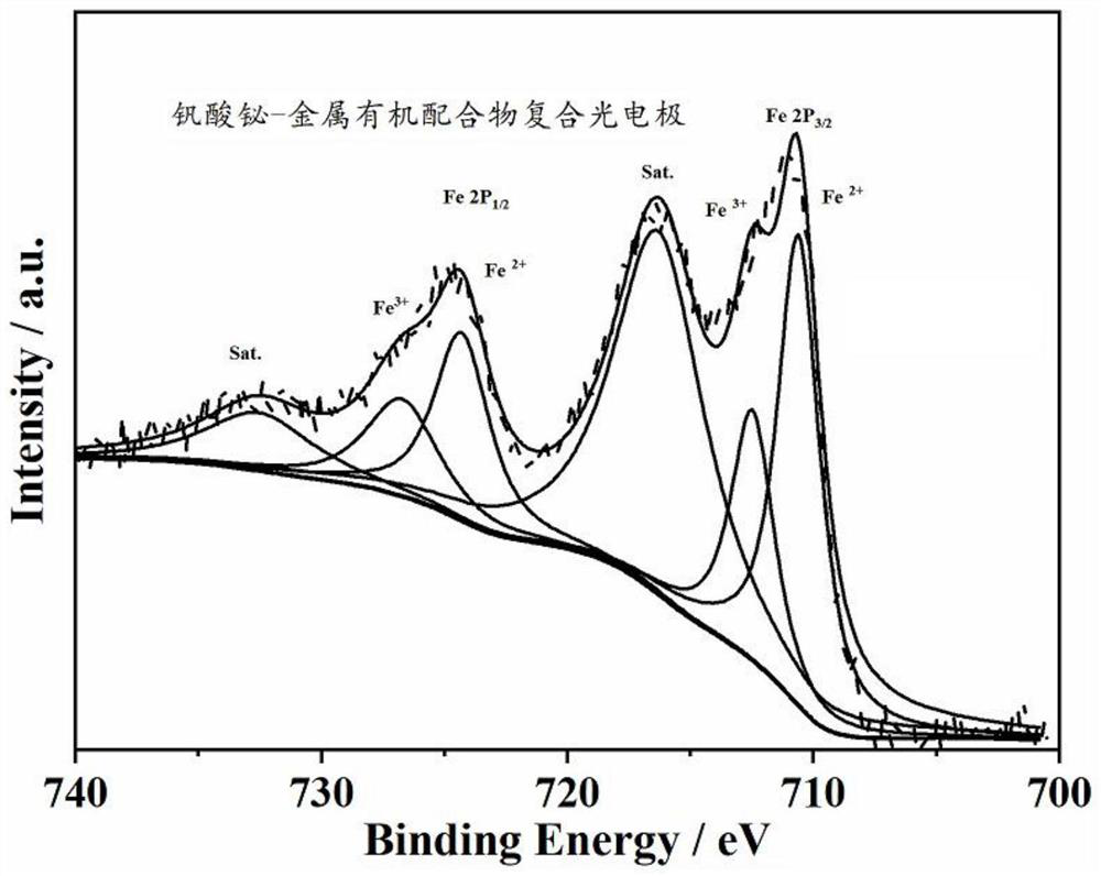 Bismuth vanadate-metal organic complex composite photoelectrode and preparation method and application thereof