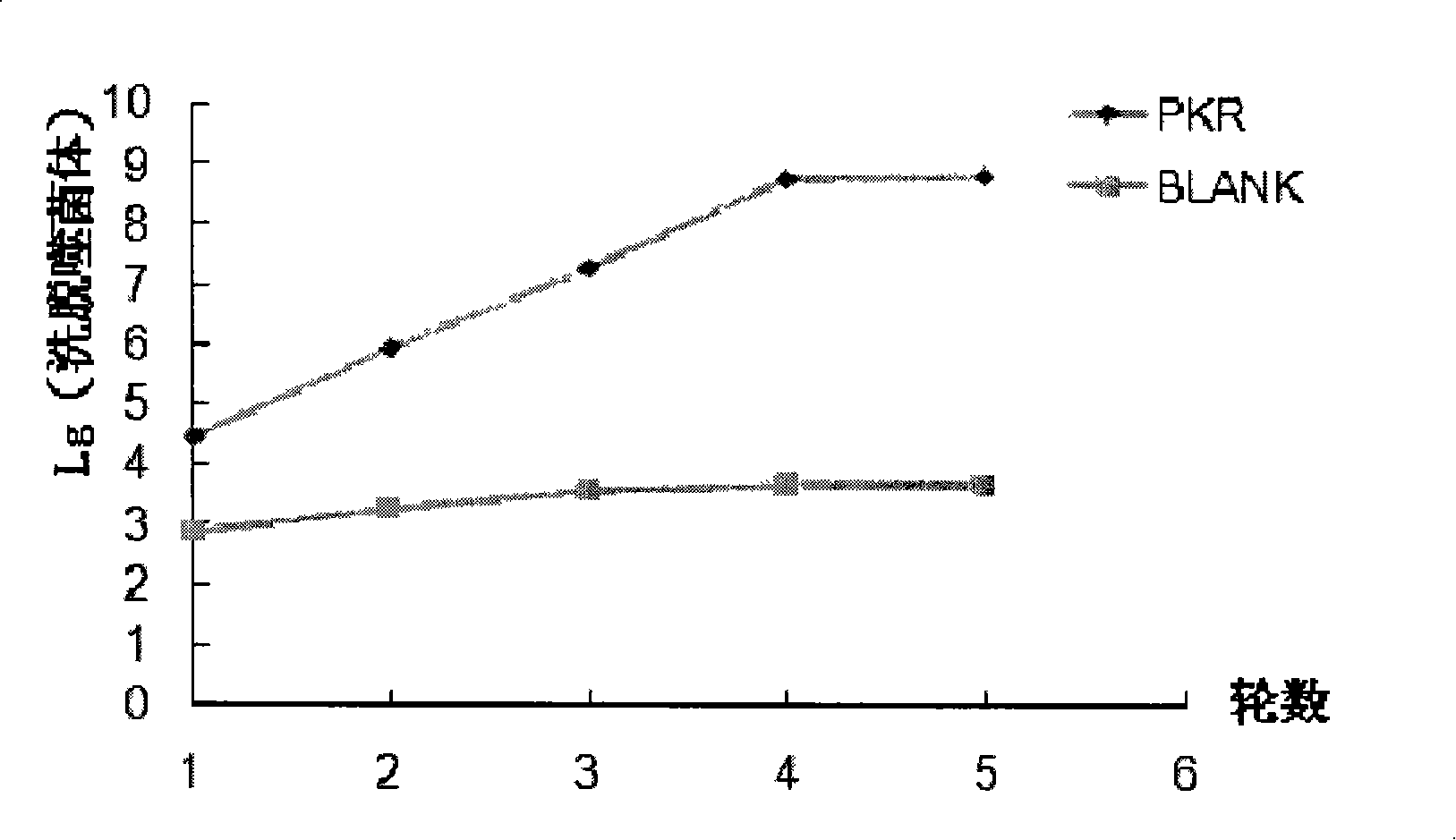 Polypeptide combinative with PKR kinase structure field specificity and uses thereof