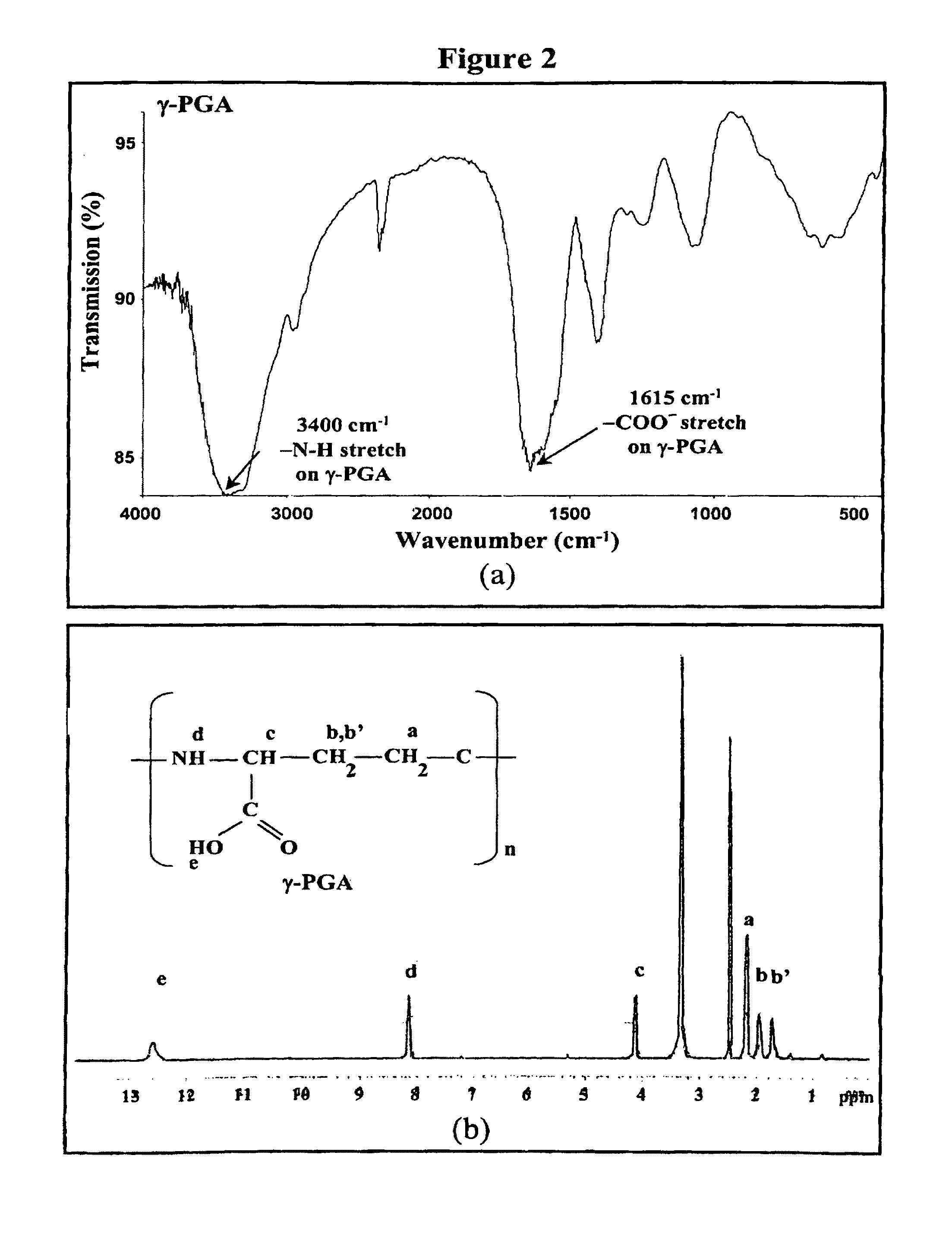 Nanoparticles for protein drug delivery