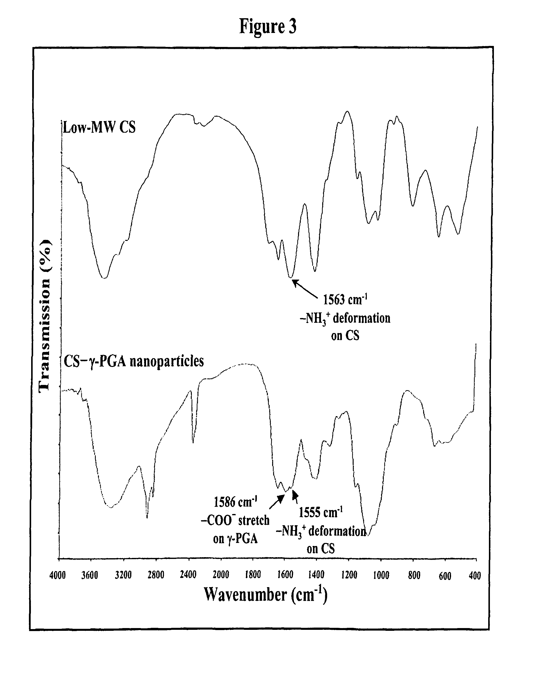 Nanoparticles for protein drug delivery