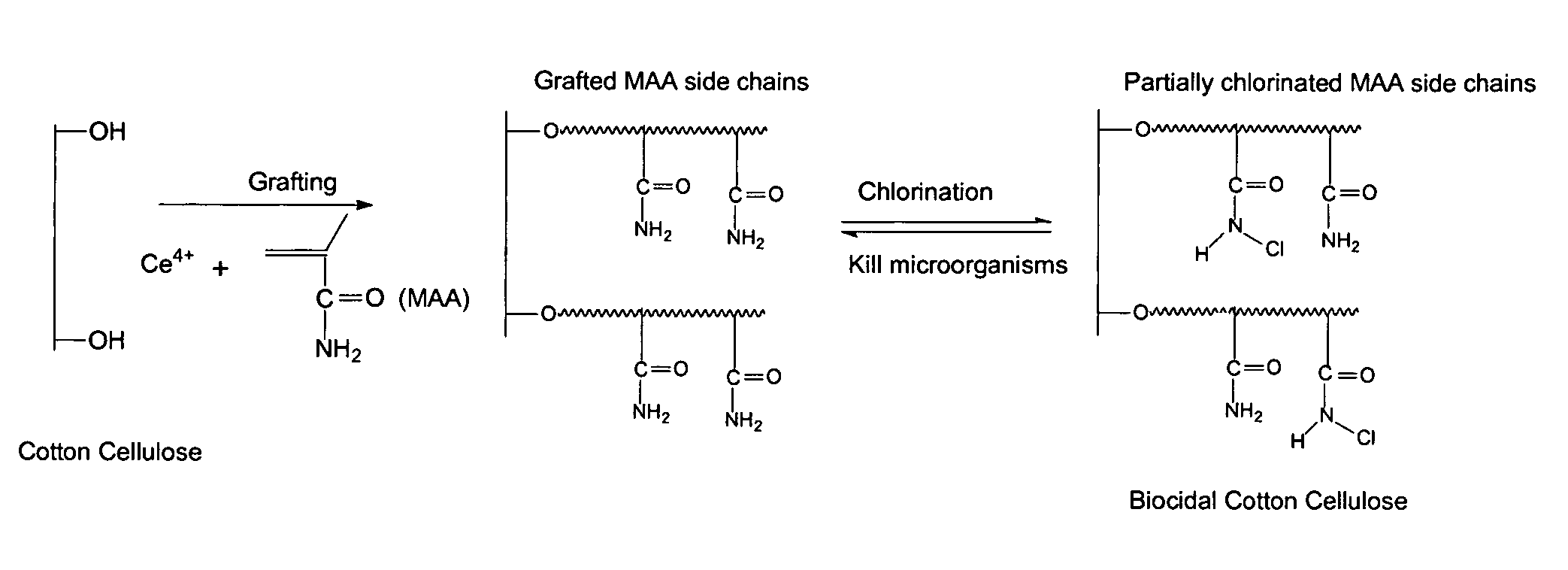 Compositions and methods for making and using acyclic N-halamine-based biocidal polymeric materials and articles