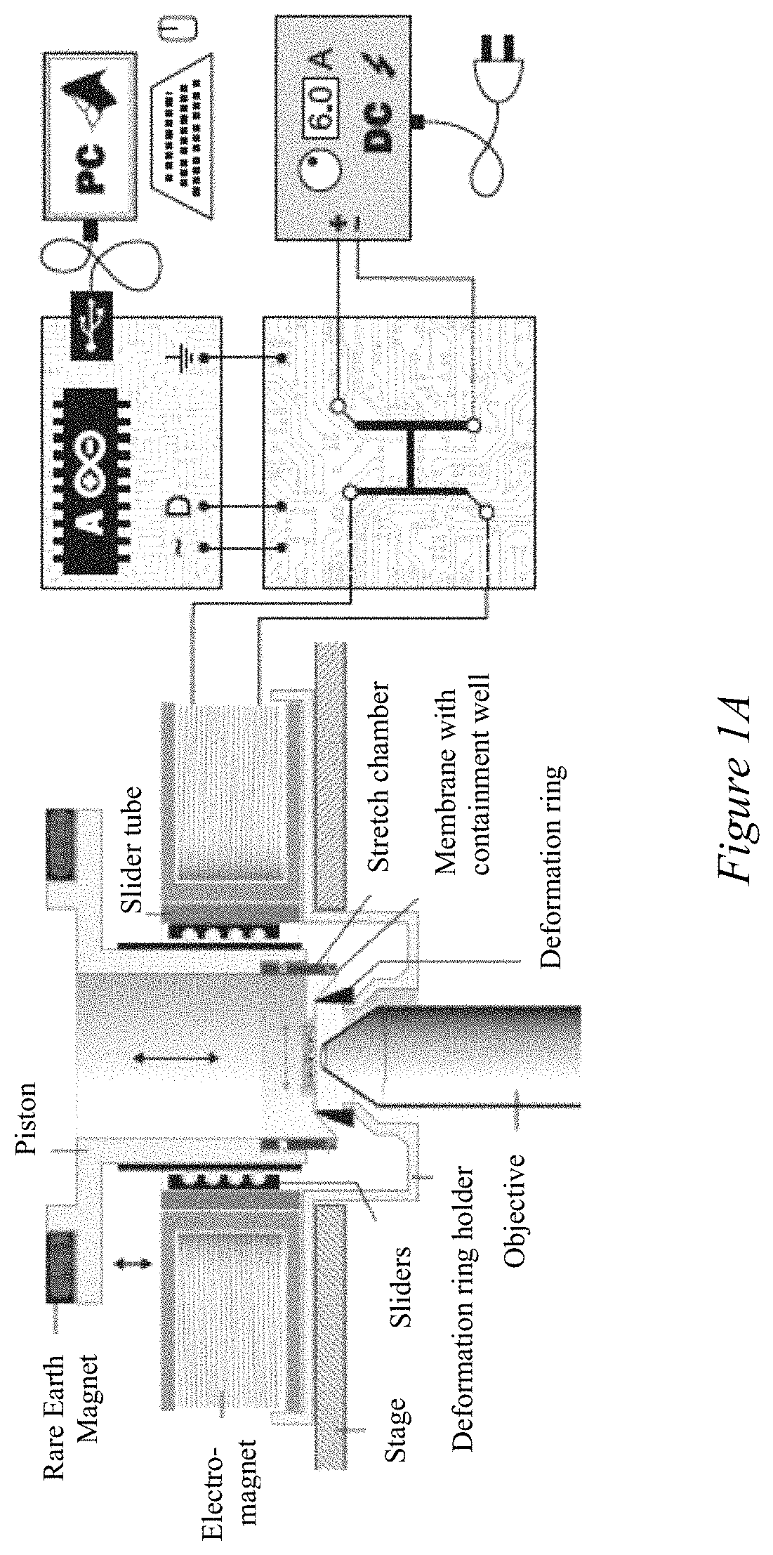 Methods and device for controlled cell stretch and imaging