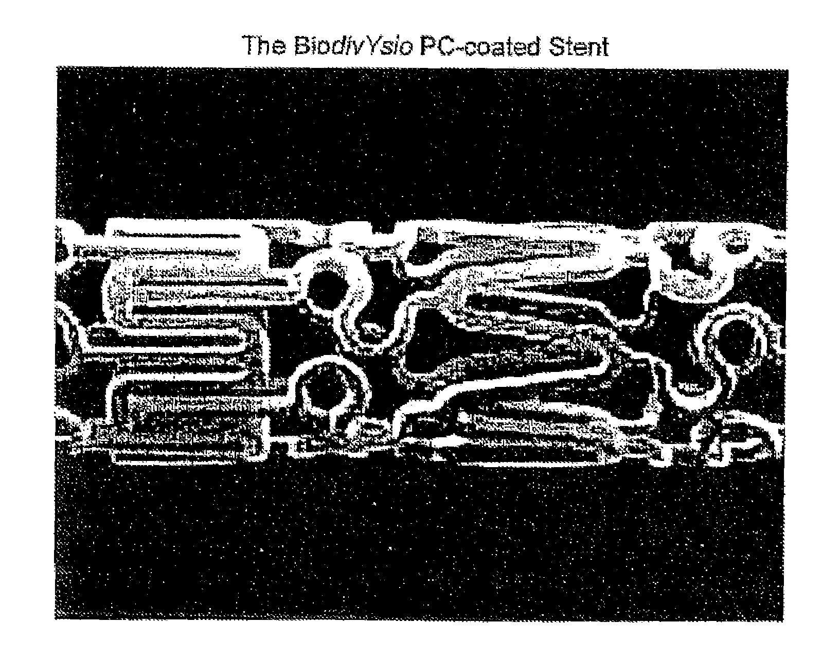 Compositions, systems, and kits for administering zotarolimus and paclitaxel to blood vessel lumens