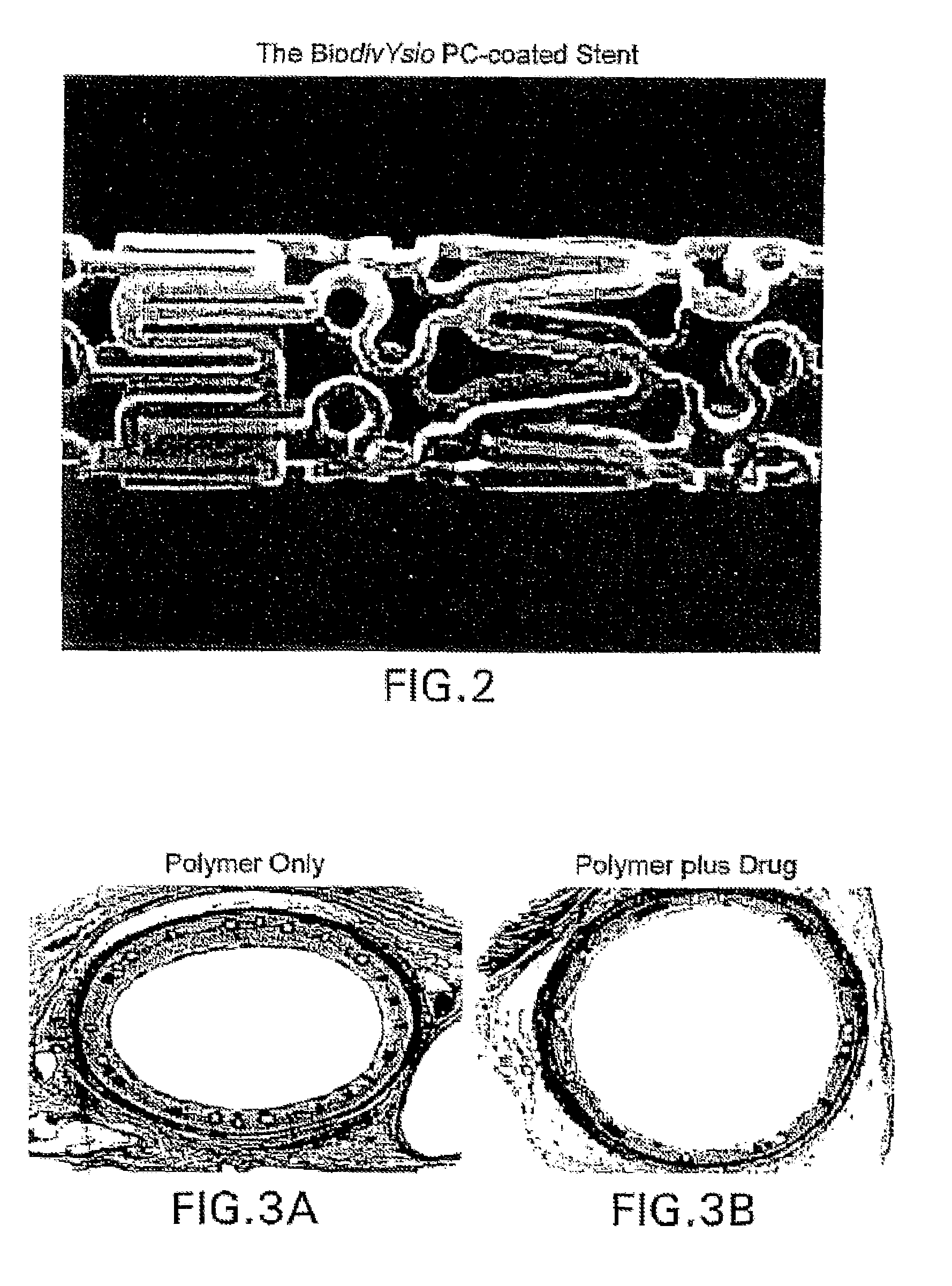 Compositions, systems, and kits for administering zotarolimus and paclitaxel to blood vessel lumens