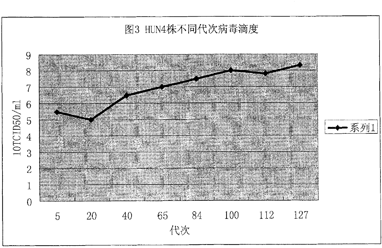 Virus velogen strain for porcine reproductive and respiratory syndrome, attenuated vaccine strain thereof and application thereof