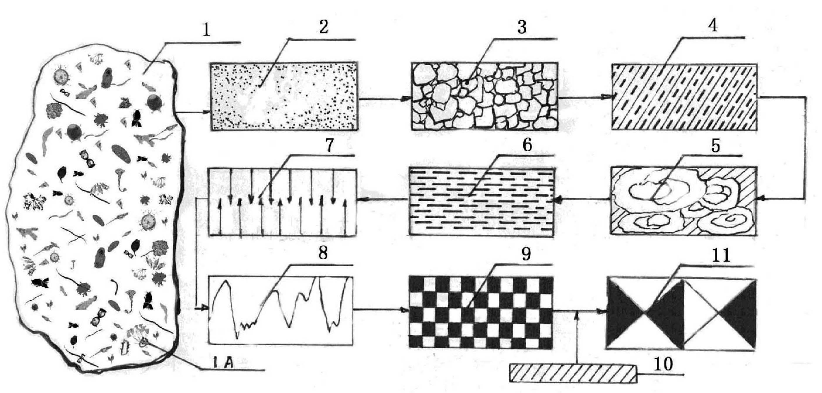 Method for preparing microporous adsorbent from sludge, product and special equipment