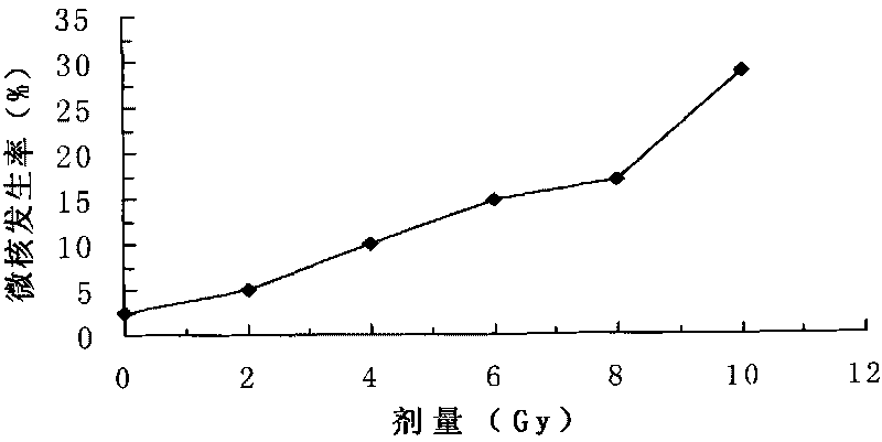 Method for detecting instability of radiation-induced genome