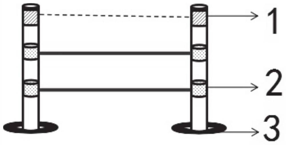 Visual electronic fence and control method thereof