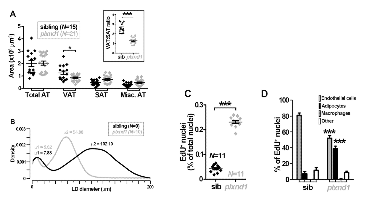 Compositions and Methods for Identifying and Modulating Metabolic Health