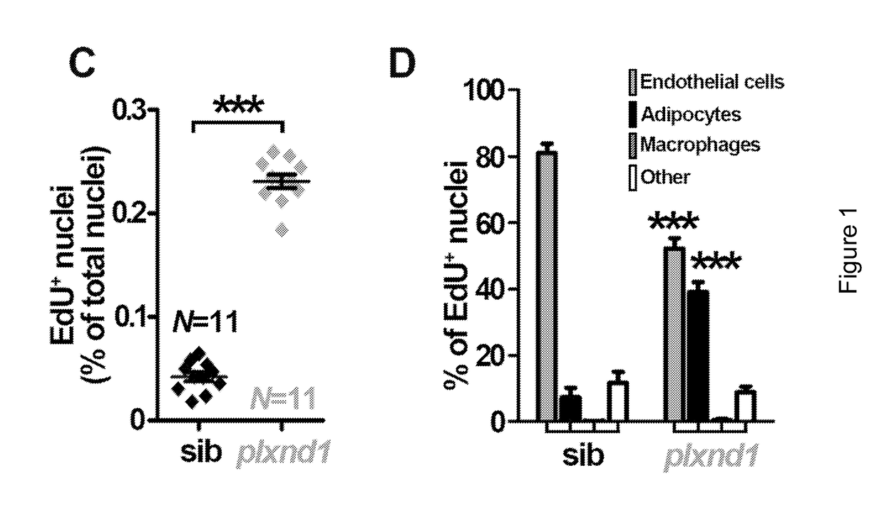 Compositions and Methods for Identifying and Modulating Metabolic Health