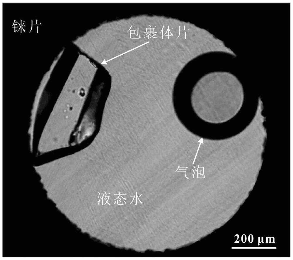 Method for accurately measuring homogeneous temperature of volatile component-rich melt inclusion