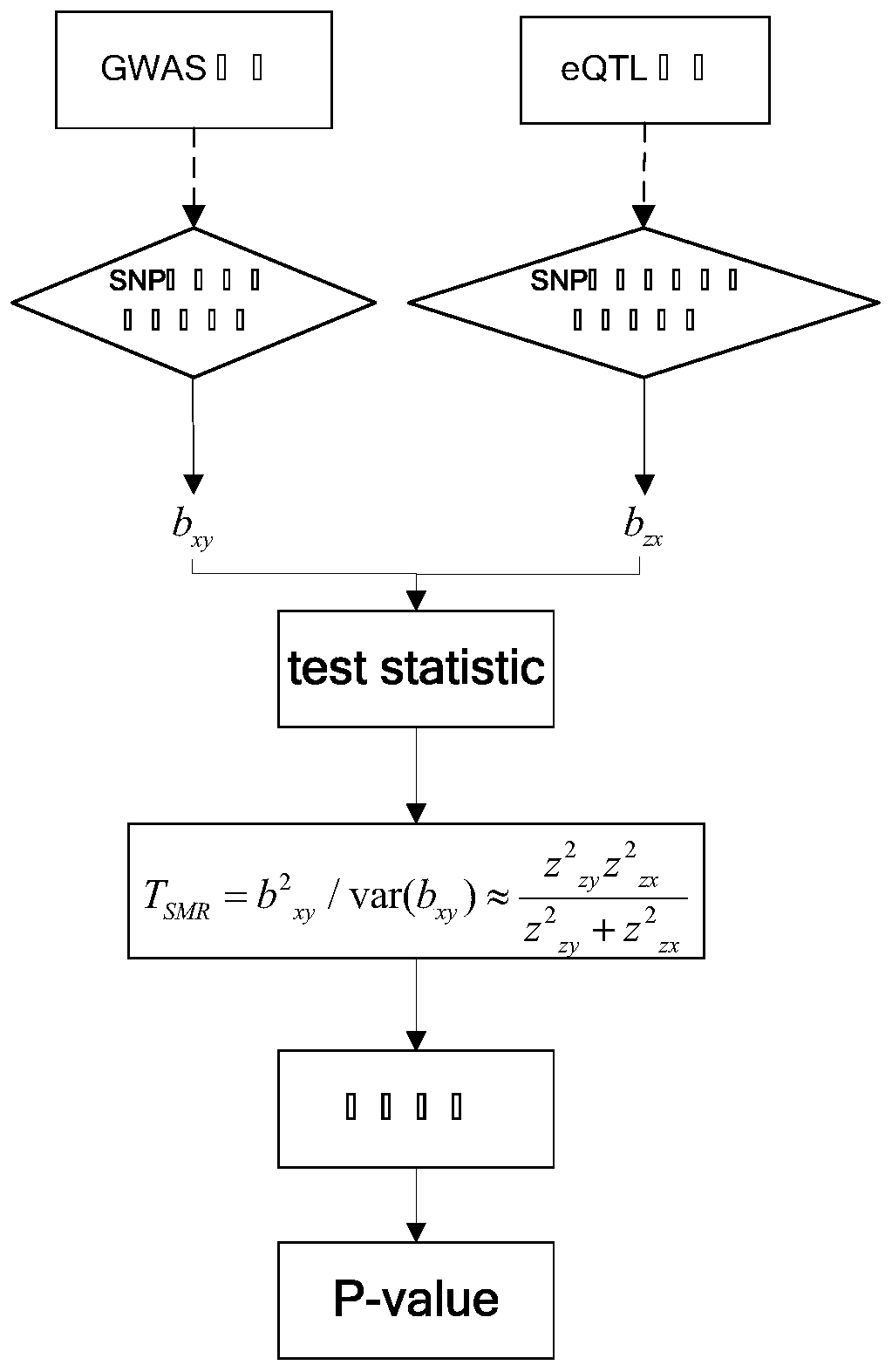 Senile dementia gene and site screening method based on improved Mendelian randomization