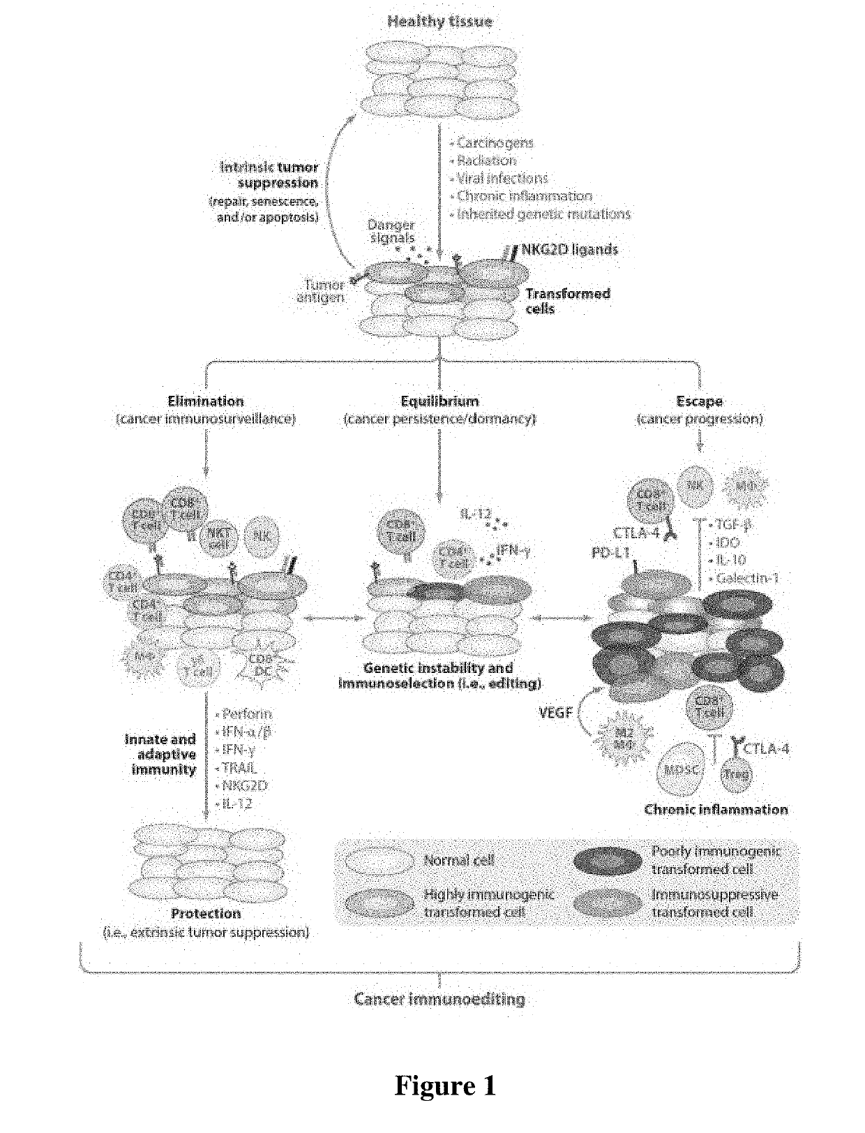 Avatar dendritic cells: the neoantigen natural killer t-cell chemo immuno radiation composition inducing immunogenic cell death