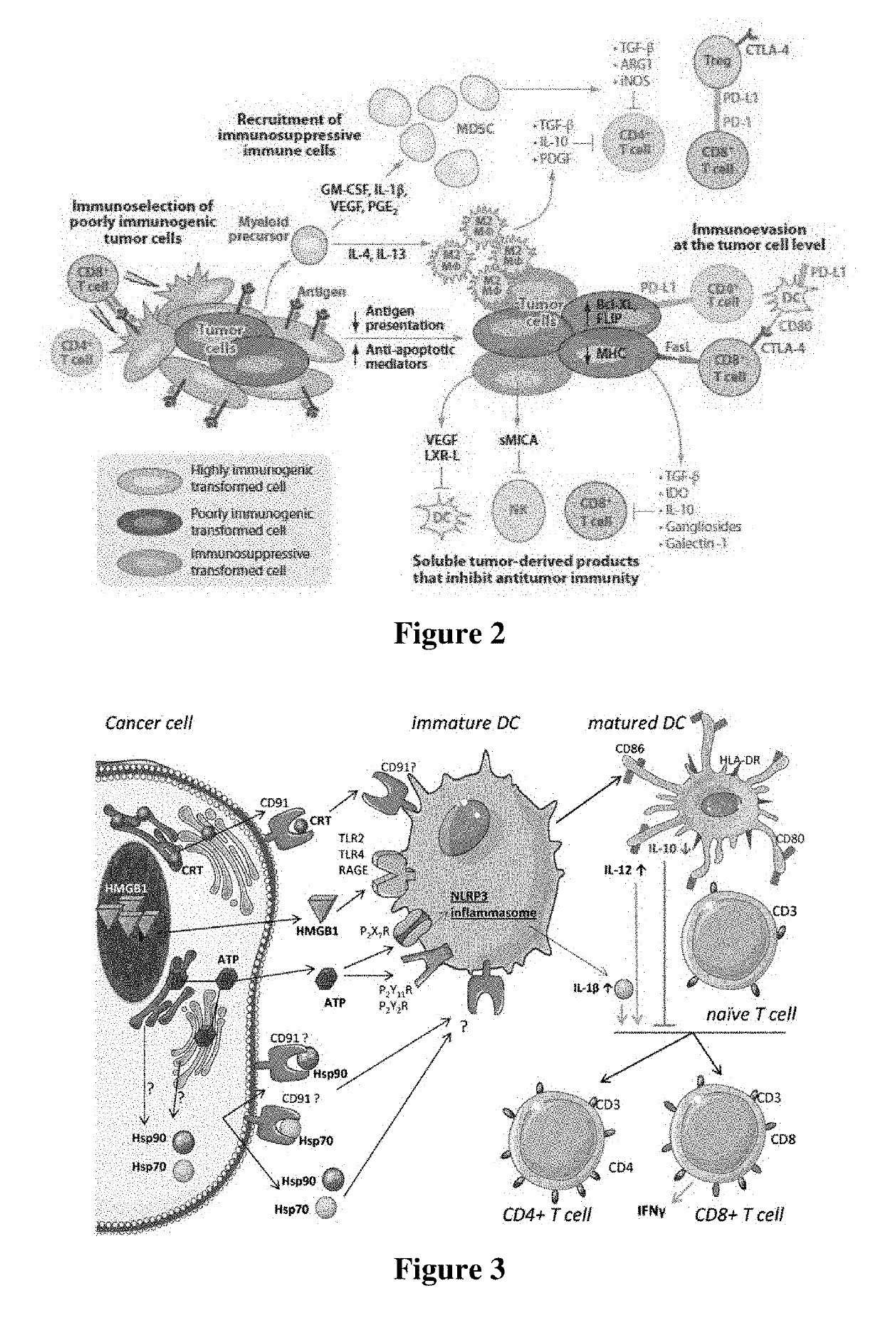 Avatar dendritic cells: the neoantigen natural killer t-cell chemo immuno radiation composition inducing immunogenic cell death