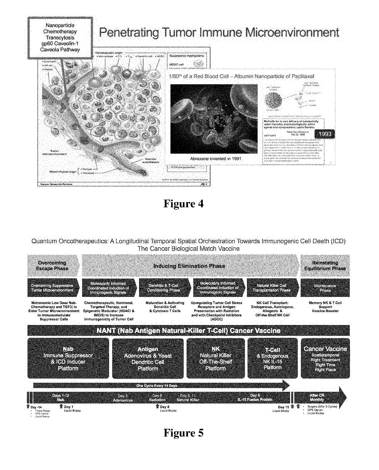 Avatar dendritic cells: the neoantigen natural killer t-cell chemo immuno radiation composition inducing immunogenic cell death