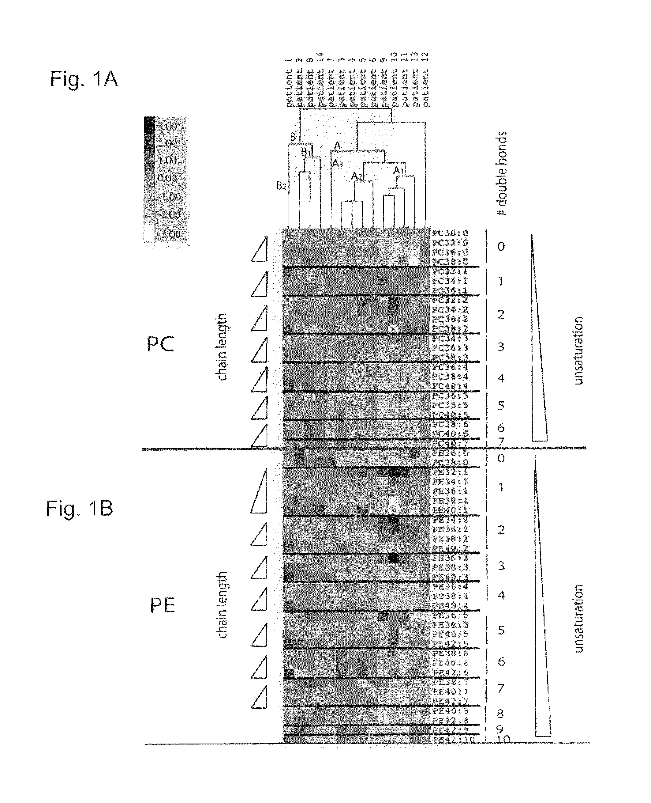 Cancer phospholipidome