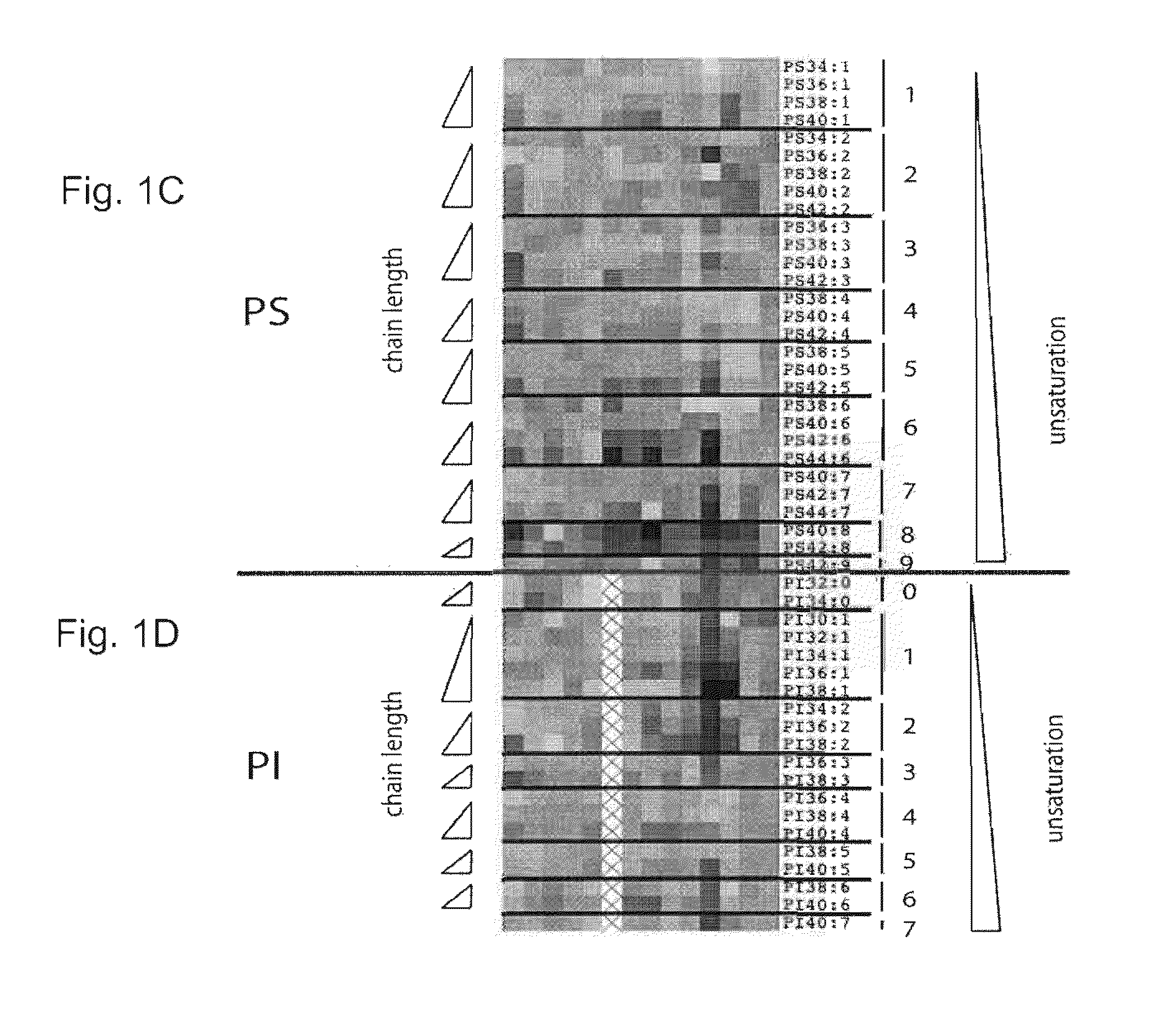 Cancer phospholipidome