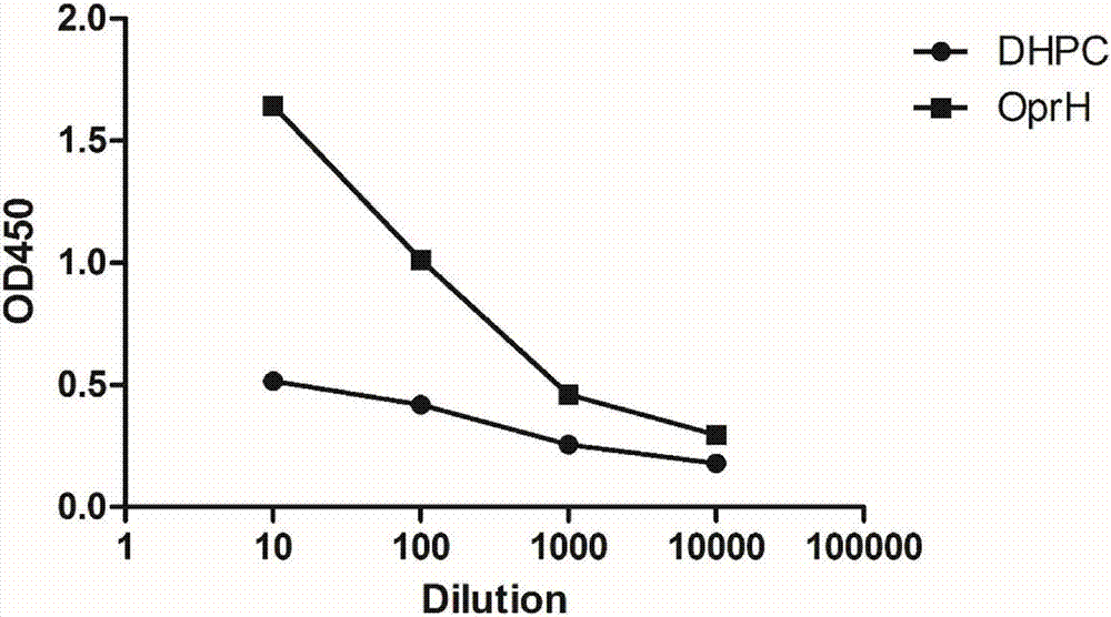 Preparation method and application of pseudomonas aeruginosa outer membrane protein vaccine