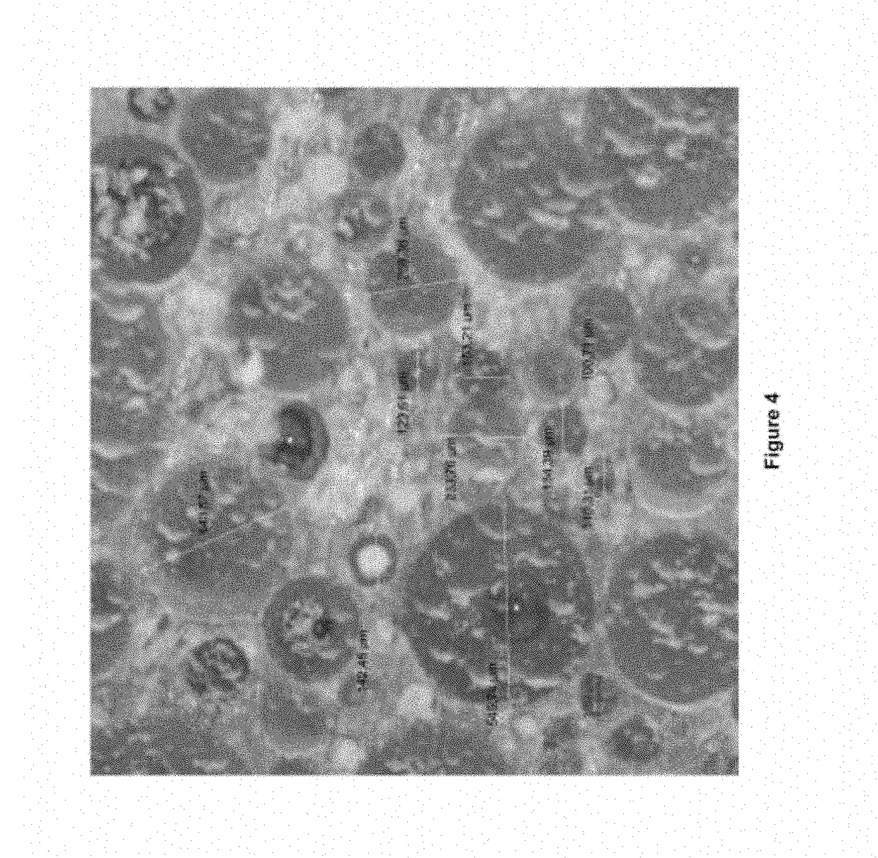 Thermal insulation material and method for making the same