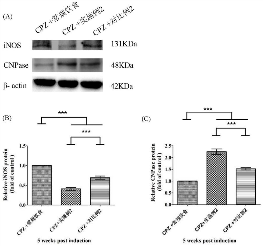 Medium-chain triglyceride ketogenic-diet composition containing traditional Chinese medicine active ingredients as well as preparation method and application of medium-chain triglyceride ketogenic -diet composition