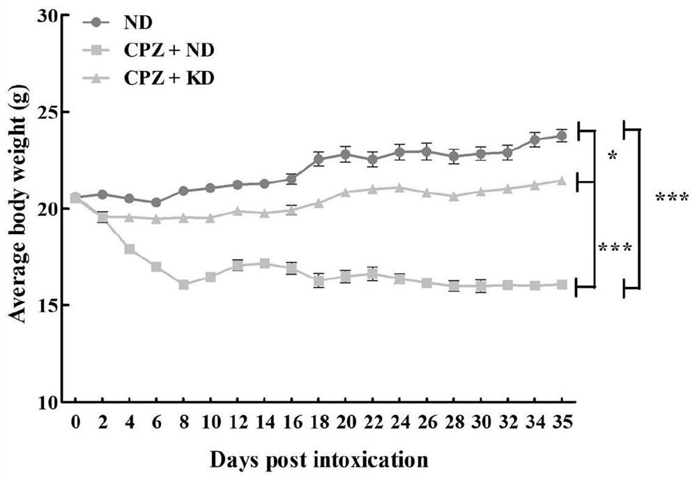 Medium-chain triglyceride ketogenic-diet composition containing traditional Chinese medicine active ingredients as well as preparation method and application of medium-chain triglyceride ketogenic -diet composition