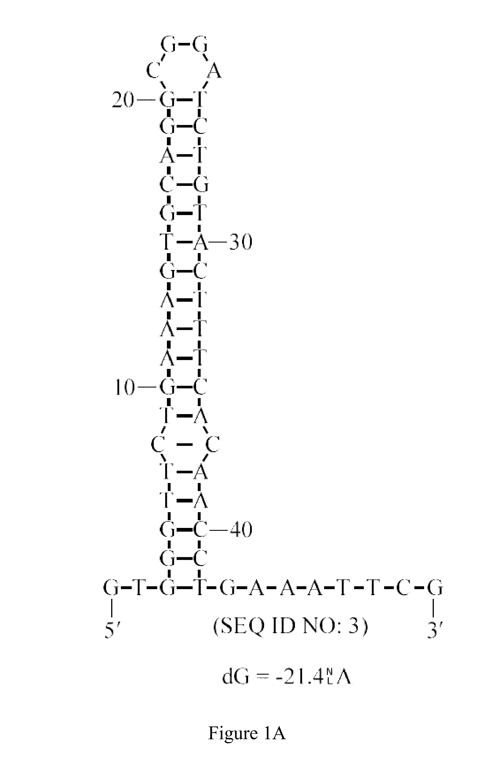 Synthetic nucleic acids for expression of encoded proteins