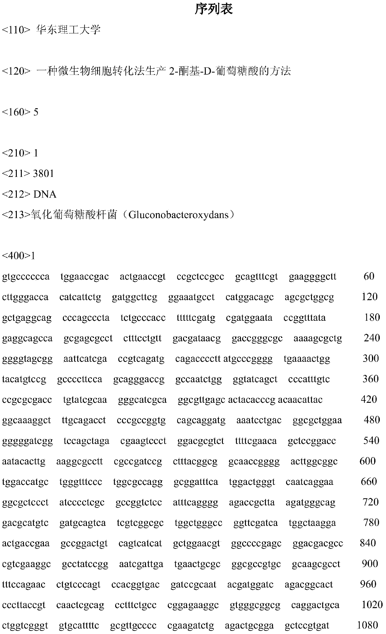 Microbial cell conversion method for producing 2-keto-D-gluconic acid