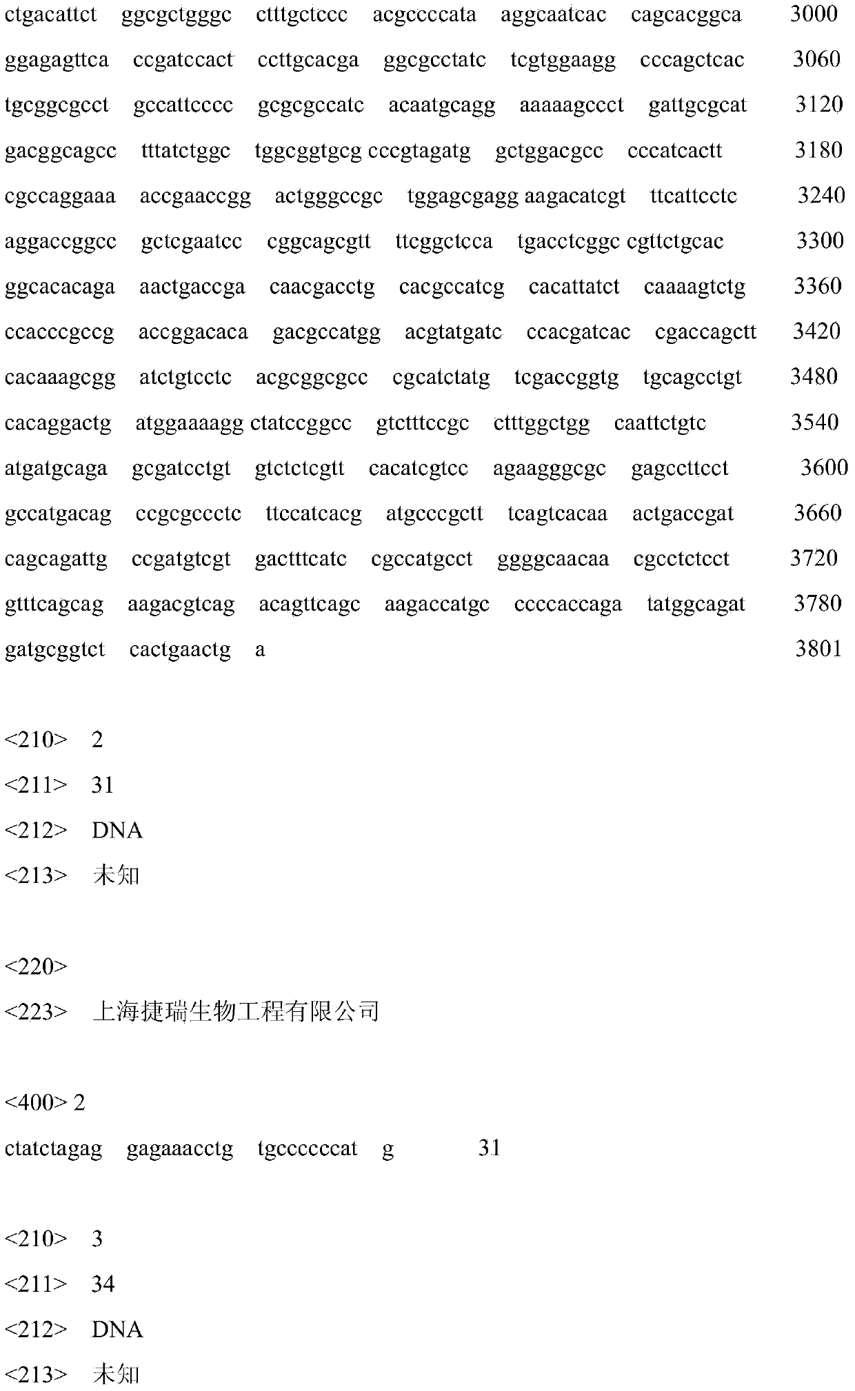 Microbial cell conversion method for producing 2-keto-D-gluconic acid