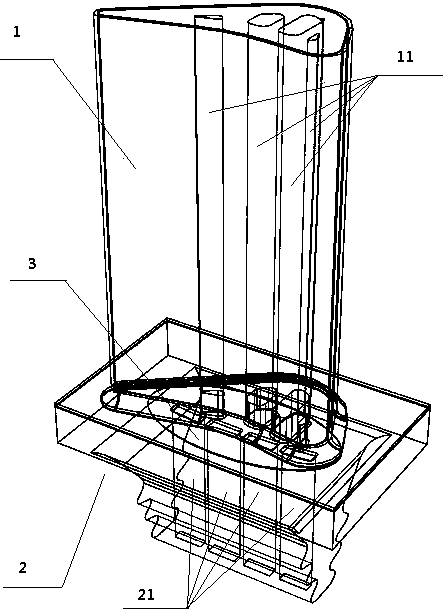 Finite element modeling method of thermal barrier coating of turbine blade with multiple cooling channels