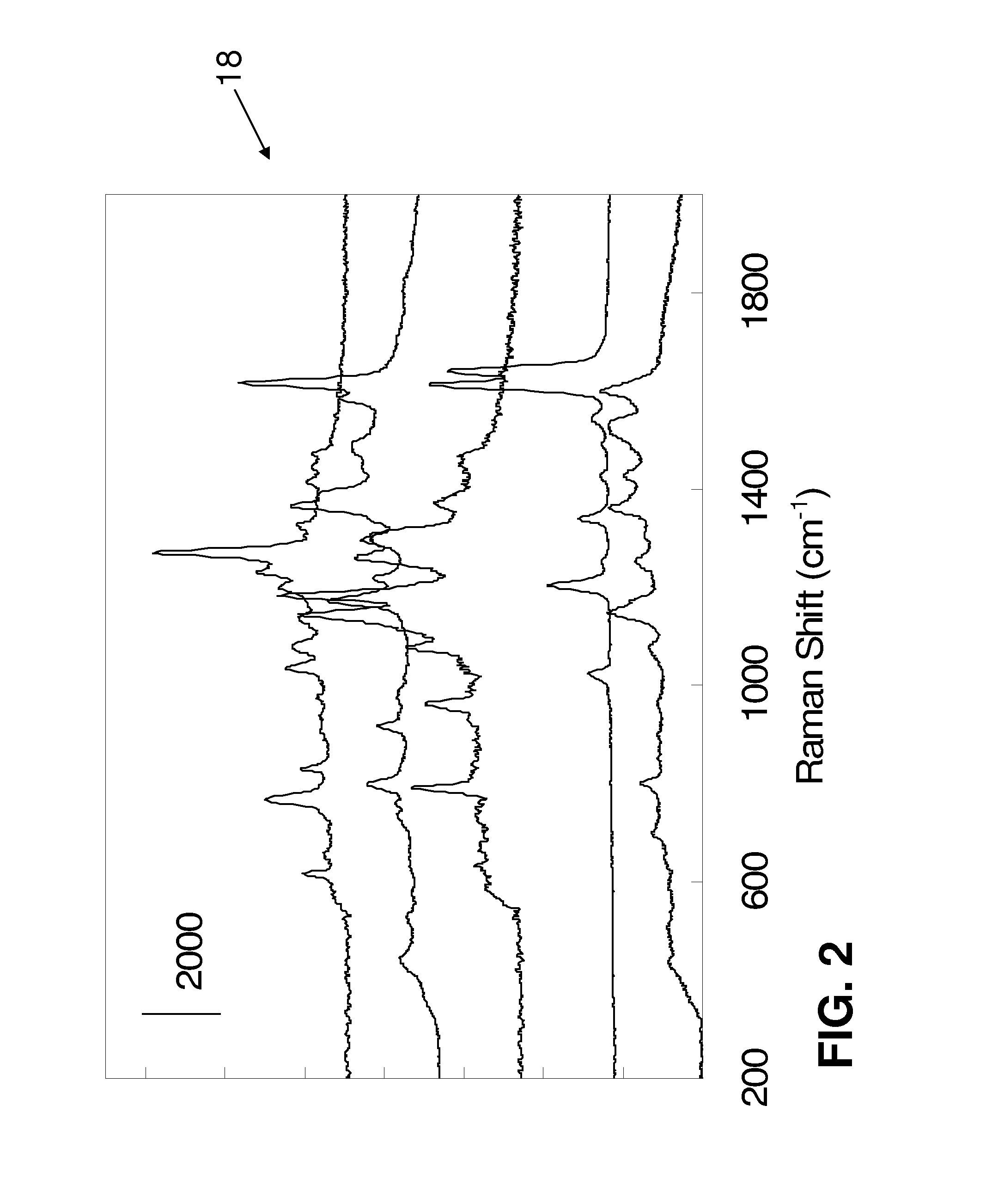 SERS Nanotag Assays