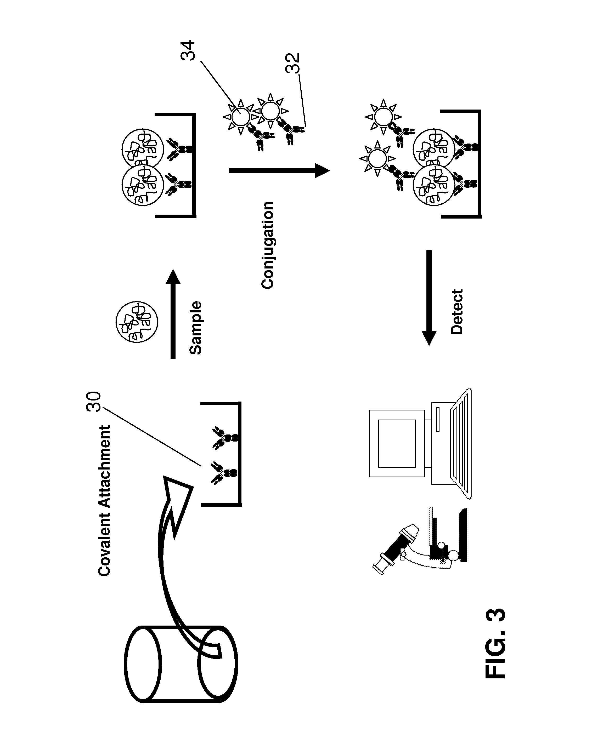 SERS Nanotag Assays