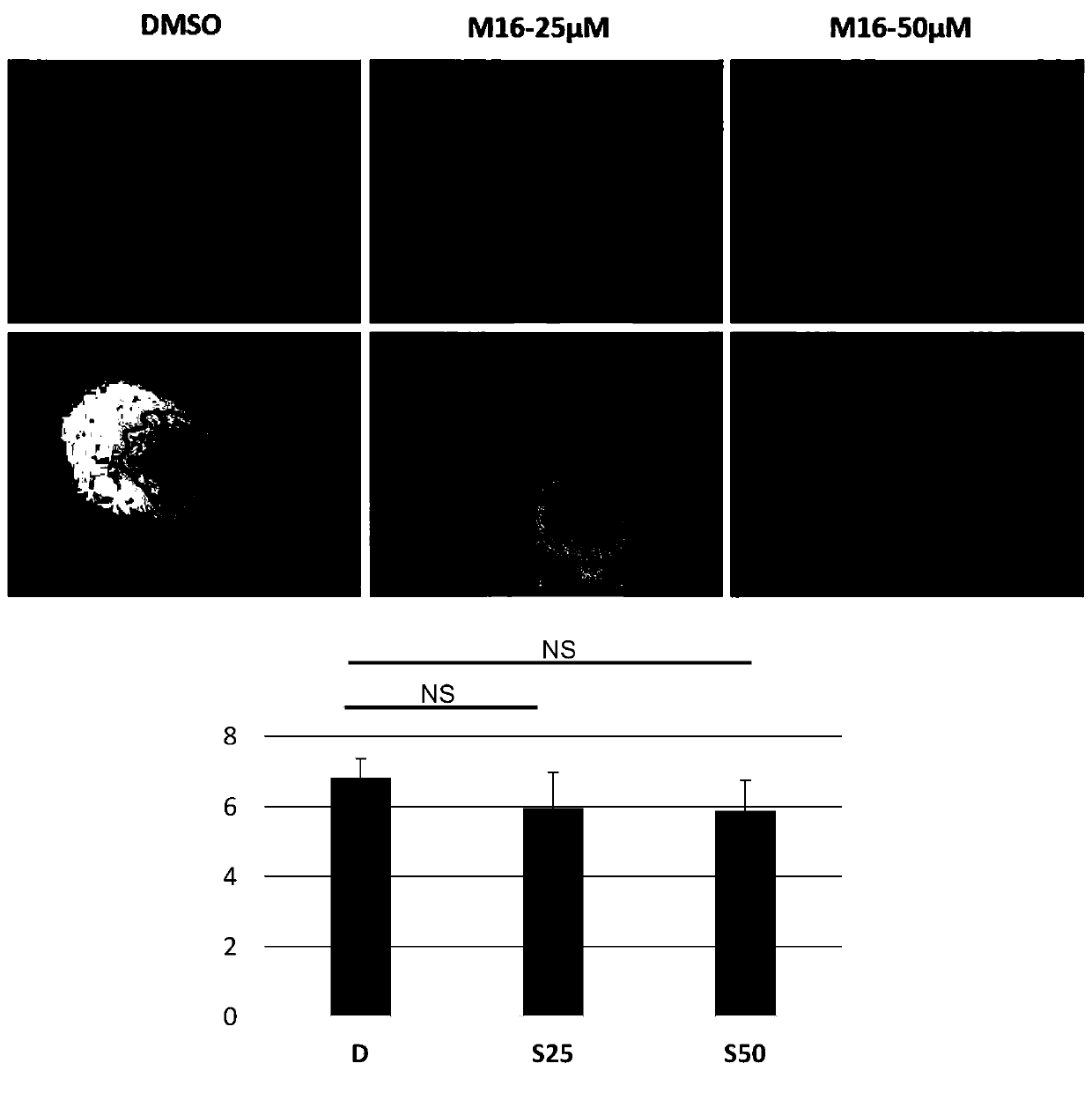 Preparation method and application of a tumor cell spheroid