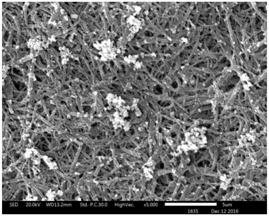 Preparation method for nanofiber porous membrane for carrying high-activity nanometal particles