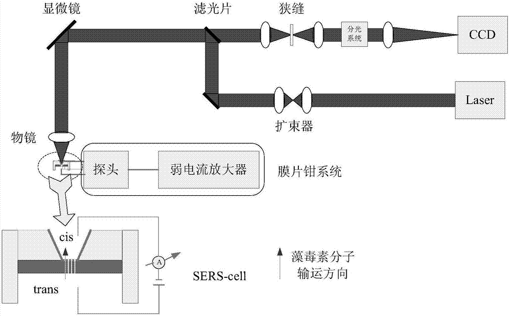 Porous array electromagnetic field reinforced SERS (surface enhanced raman scattering) device for detecting trace microcystic toxin and preparation method and detection method