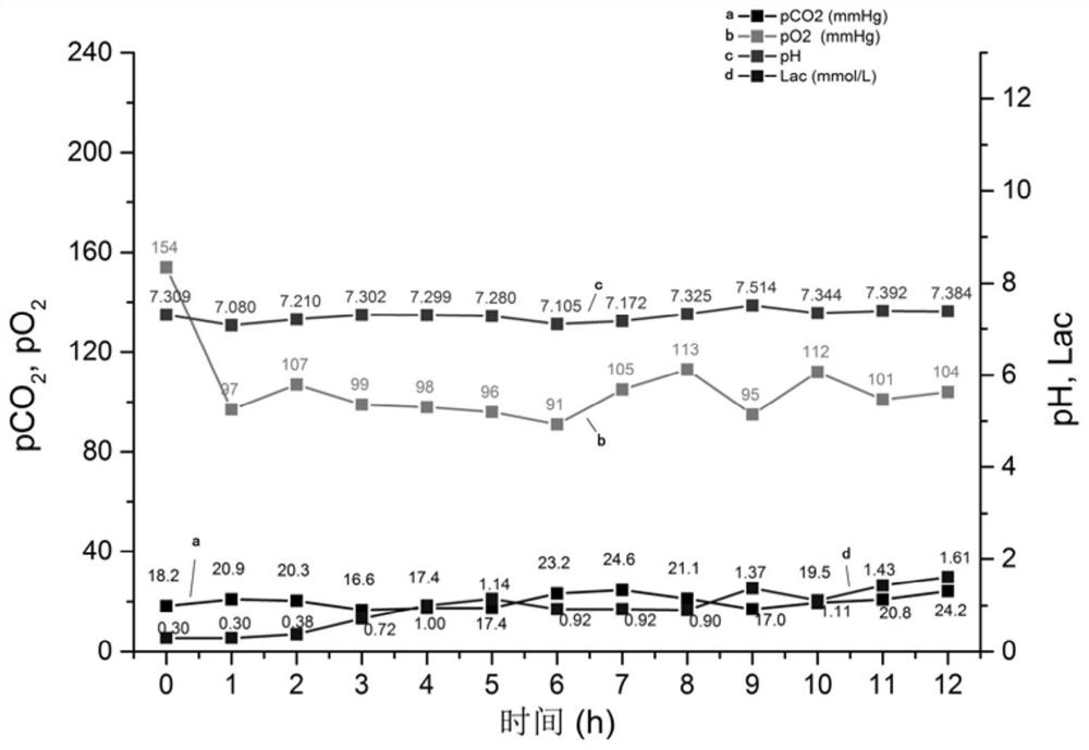 In-vitro lung mechanical perfusate as well as preparation method and application thereof