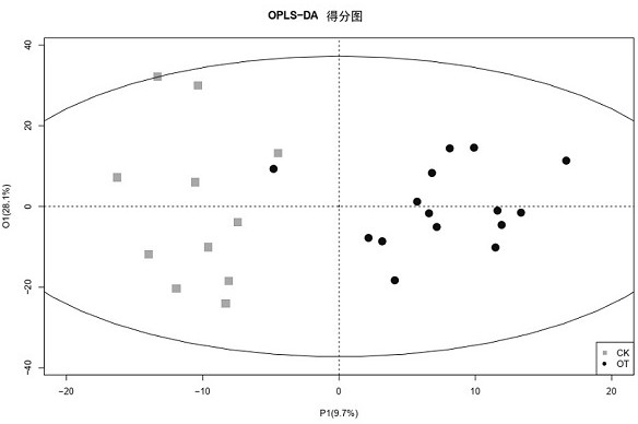 Molecular marker for diagnosing working of nervonic acid supplemented for ischemic hypoxic encephalopathy in plateau environment and application of molecular marker