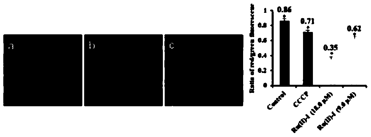 Synthesis method and application of ruthenium (II) polypyridine metal complex with anti-tumor effect