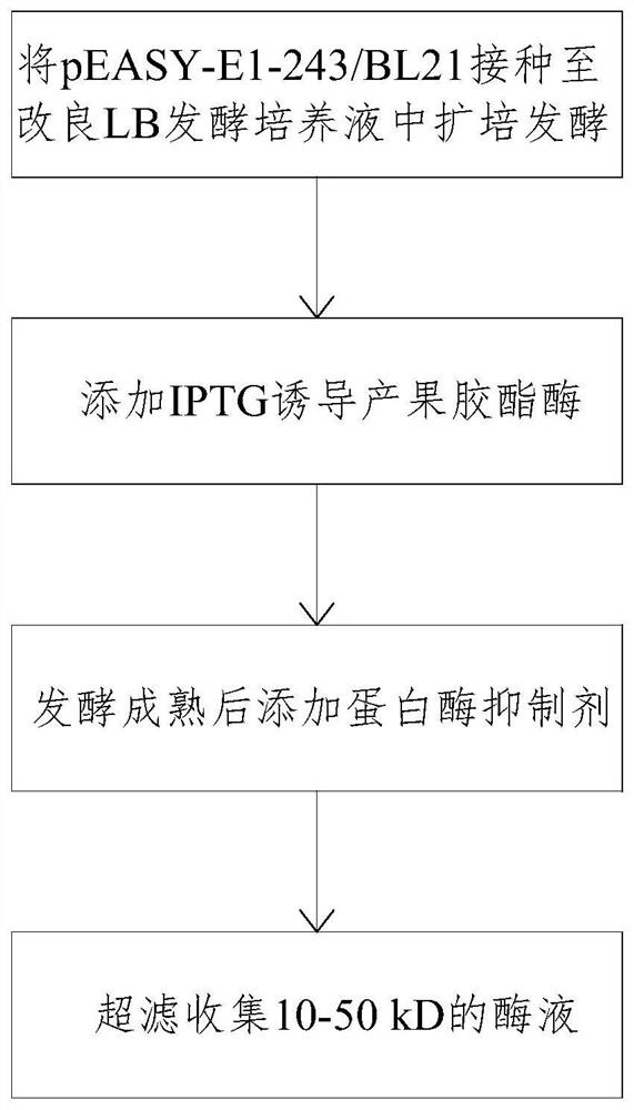 A kind of pectin esterase and its preparation method and application