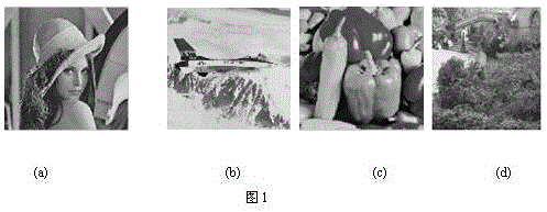 A Blind Watermarking Method for Two-Color Image Based on qr Decomposition and Compensation