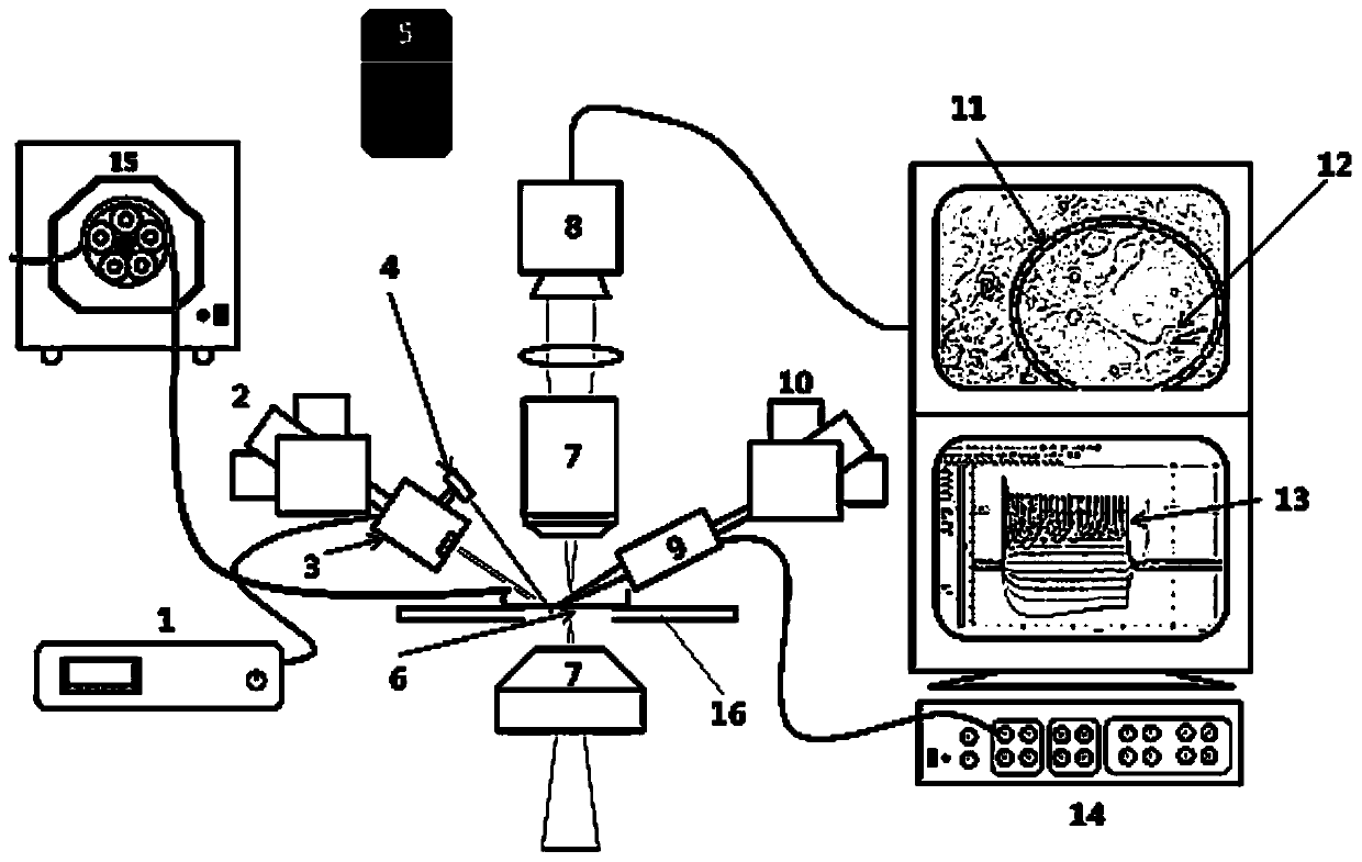 System and method for researching bioelectrical effect of high-frequency electromagnetic radiation on in-vitro excitable cells