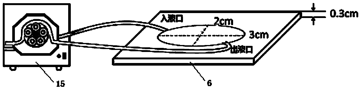 System and method for researching bioelectrical effect of high-frequency electromagnetic radiation on in-vitro excitable cells