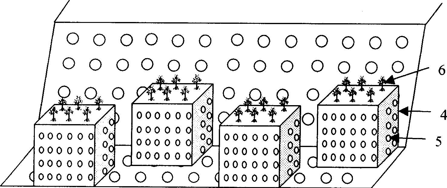 Ecological interception canal system in farmland