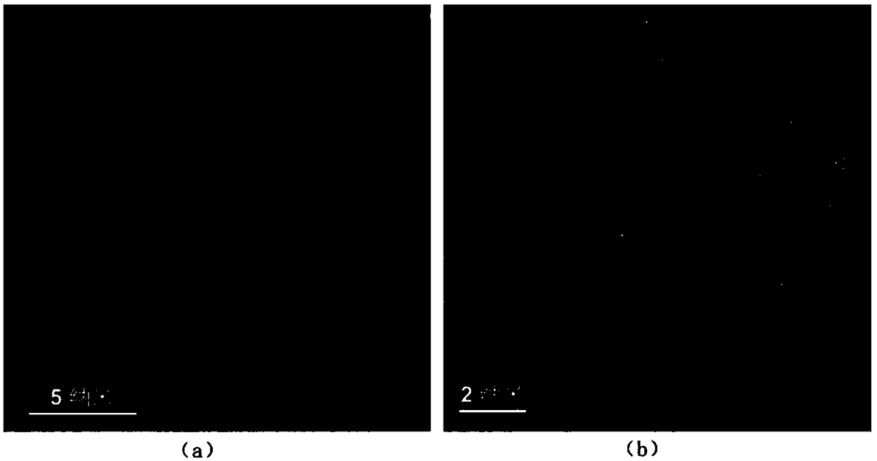 Solution synthesis method of atomically-dispersive metal oxygen reduction catalyst