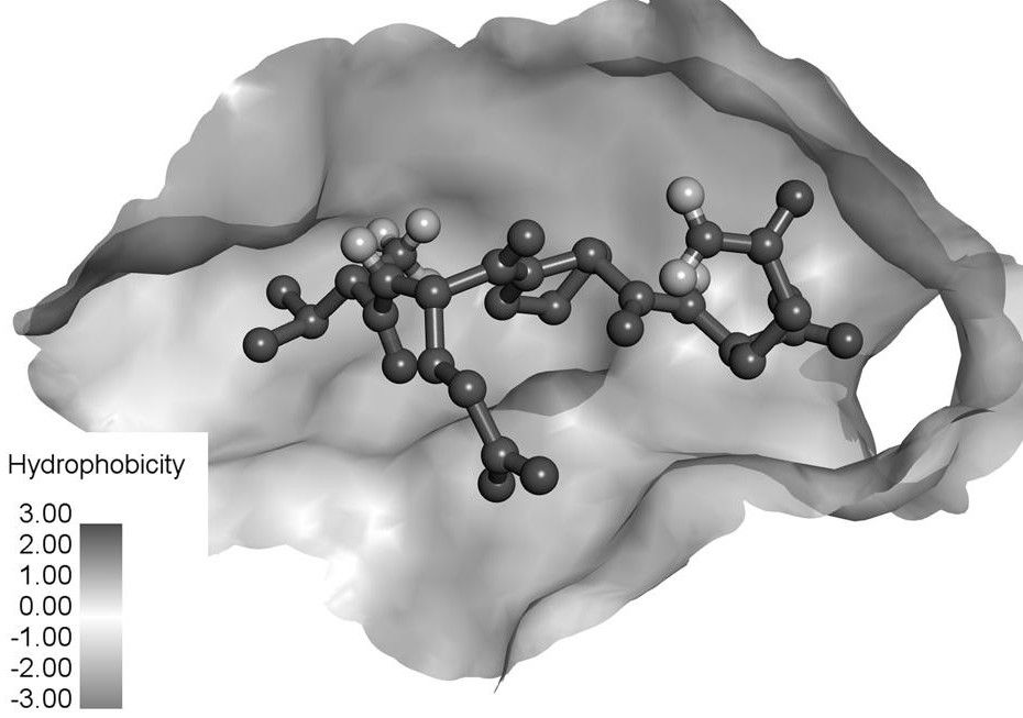 A kind of pea oligopeptide for lowering blood pressure and its preparation method and application