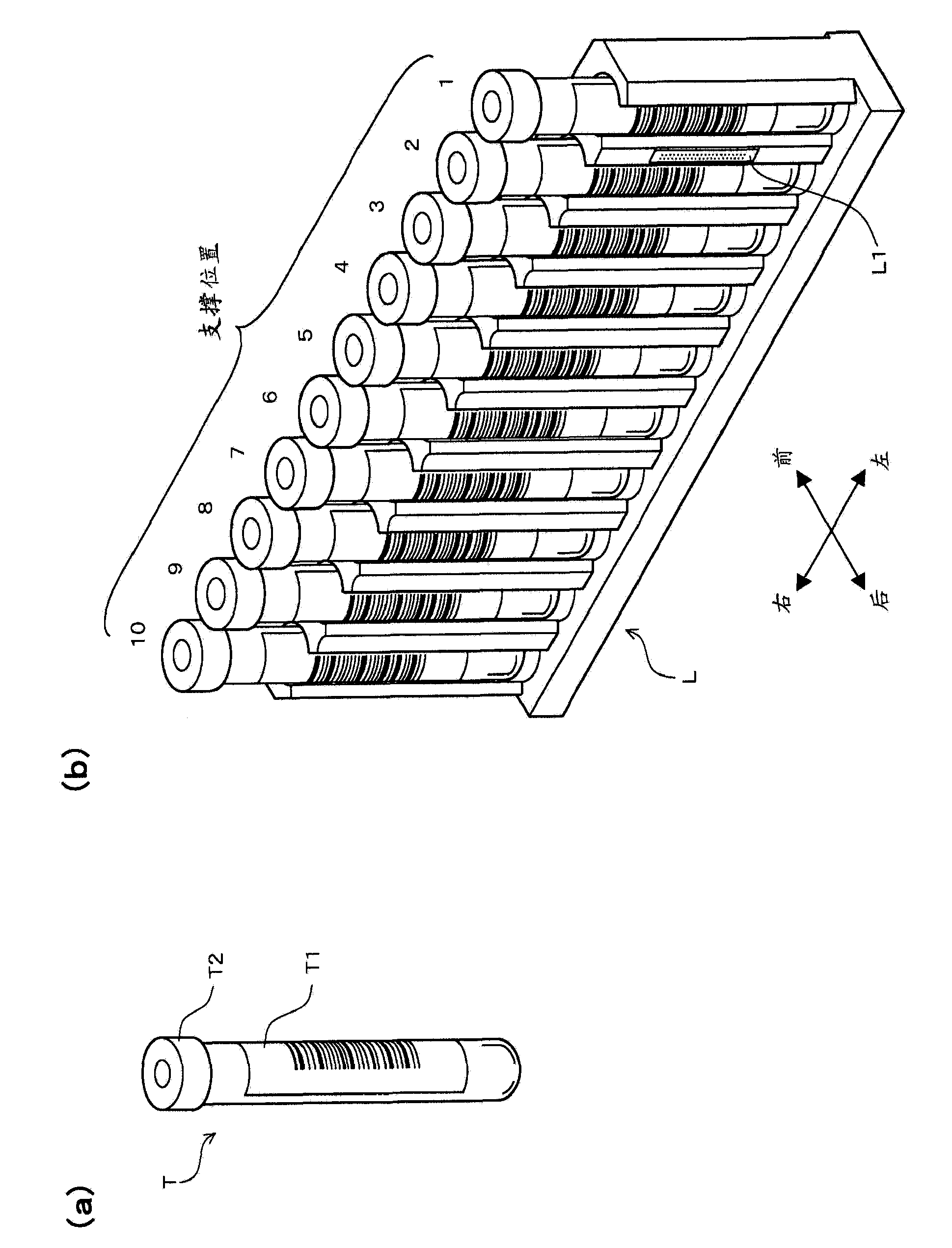 Sample processing apparatus, sample analyzer, sample analyzing system, sample processing system and sample processing method