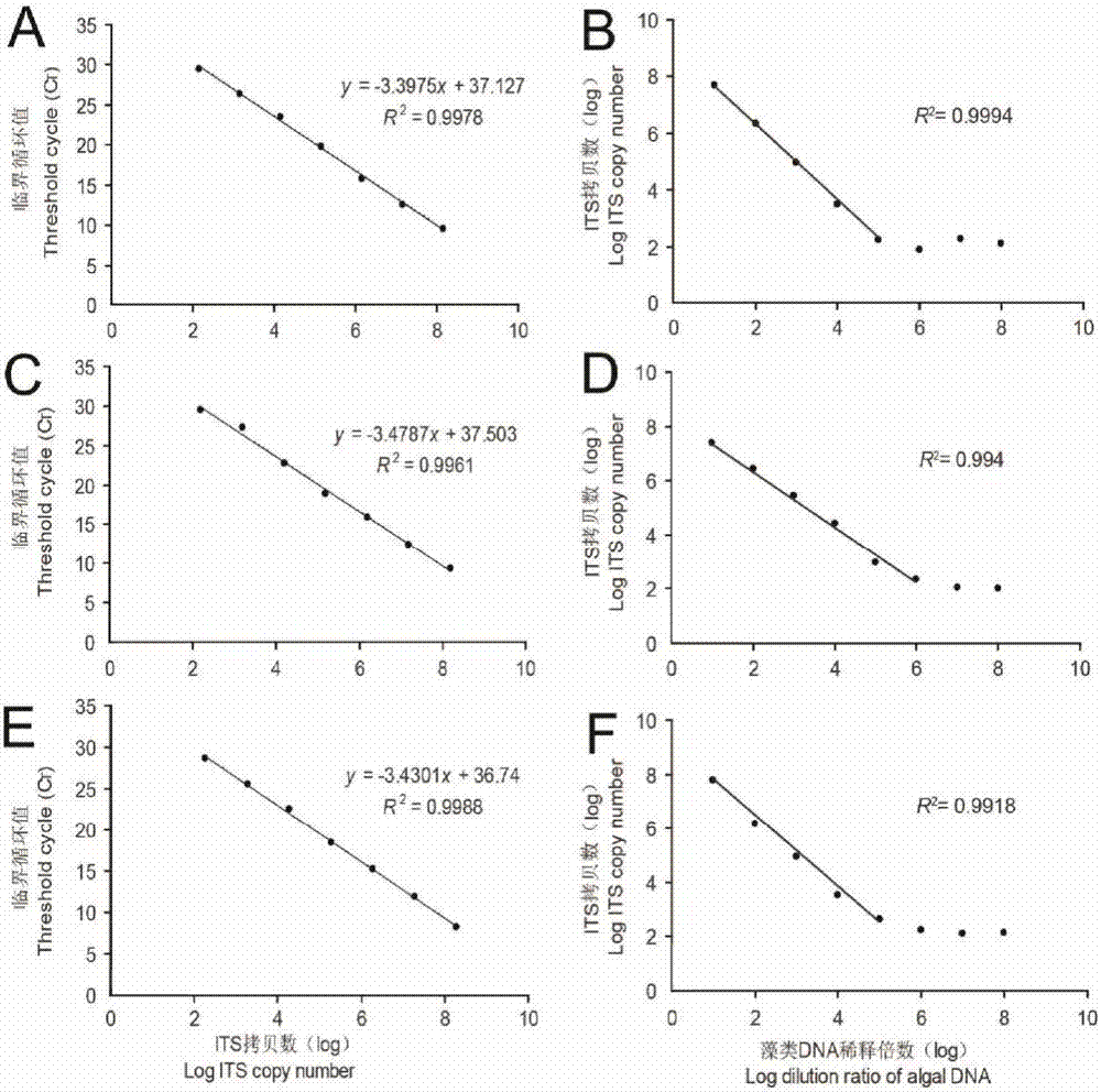 Real-time quantitative PCR detection method for ulva linza, hard ulva and scytosiphon lomentaria spores/gametes in holothurian culture water